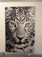 Canvas - luipaard, Ophalen, Zo goed als nieuw, Schilderij, 75 tot 100 cm