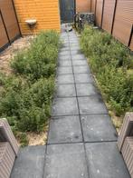 50cm bij 50cm ongeveer 120 tegels mag voor €250 mee, Tuin en Terras, Tegels en Klinkers, Ophalen of Verzenden, Zo goed als nieuw