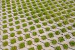 Grasbeton 40x60cm - Grasbetontegels/Grasbeton, Div. diktes, Tuin en Terras, Tegels en Klinkers, Verzenden, Beton, Overige typen