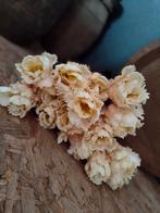 Prachtige witte kunsttulpen van countryfield, Ophalen of Verzenden, Doefke, Doefke, Binnen