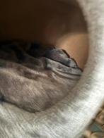 Krabpaal, Ophalen, Zo goed als nieuw, Krabpaal