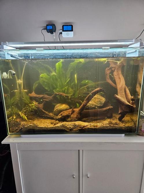 Superfish 110, Dieren en Toebehoren, Vissen | Aquaria en Toebehoren, Zo goed als nieuw, Ophalen