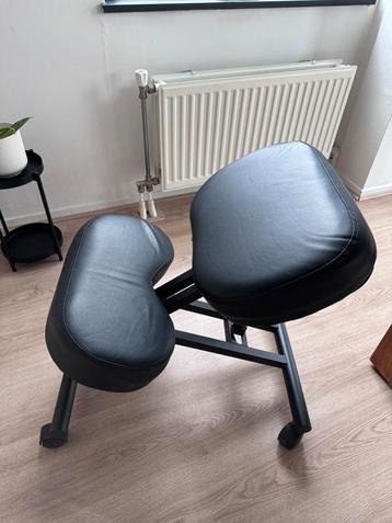 Bureaustoel - Ergonomic Posture Desk Chair - Zwart