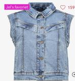 Gezocht Twoday jeans gilet maat L/XL, Kleding | Dames, Ophalen of Verzenden, Zo goed als nieuw, Maat 46/48 (XL) of groter, Blauw