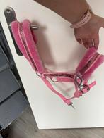 Roze halster maat Cob, Ophalen of Verzenden, Gebruikt, Overige soorten