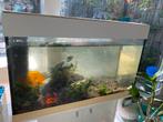 Gratis Aquarium 80x35x50cm, Dieren en Toebehoren, Vissen | Aquaria en Toebehoren, Ophalen, Gebruikt