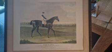 Antieke prent Filho da Puta, 1815 beschikbaar voor biedingen