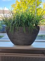 Capi Europe bloempotten Nature Rib antraciet, Tuin en Terras, Bloempotten, Ophalen, Kunststof, Binnen, Zo goed als nieuw