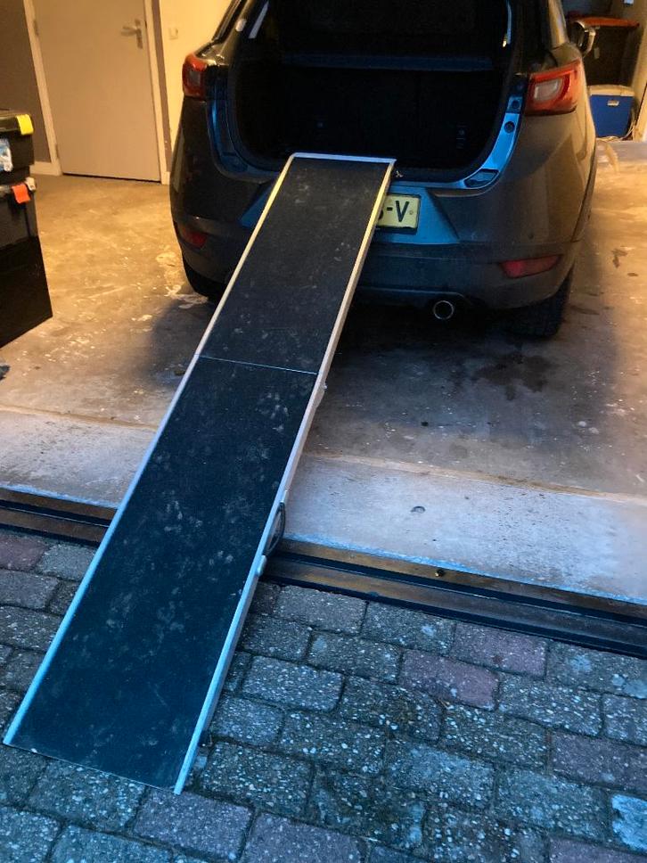 Honden loopplank, Dieren en Toebehoren, Honden-accessoires, Gebruikt, Ophalen