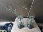 Vazen met zijdetak, Huis en Inrichting, Ophalen of Verzenden, Glas, Minder dan 50 cm