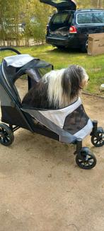 Nieuwe hondenbuggy, Ophalen, Nieuw