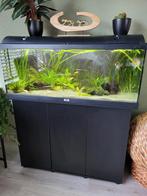 Aquarium 1 meter breed, compleet, Dieren en Toebehoren, Vissen | Aquaria en Toebehoren, Ophalen, Zo goed als nieuw, Gevuld zoetwateraquarium