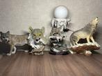 Wolvenbeelden en Wolvenlamp te koop, Verzamelen, Beelden en Beeldjes, Ophalen, Dier