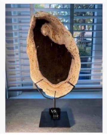 XL versteend hout schijf op zwarte metalen voet 36 cm beschikbaar voor biedingen