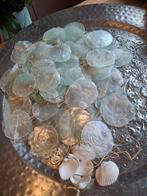 Schelpen, decoratie, interieur, Huis en Inrichting, Ophalen of Verzenden
