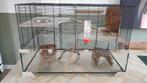 Hamsterkooi groot met glazen  bak, Kooi, Minder dan 60 cm, Gebruikt, 75 tot 110 cm