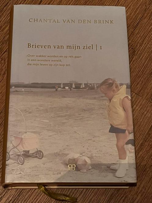 Chantal van den Brink - 1993-1999, Boeken, Overige Boeken, Nieuw, Ophalen of Verzenden