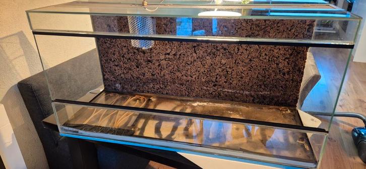 Terrarium slechts €95! 100-50-40 verwarming,achterwand,spot!, Dieren en Toebehoren, Reptielen en Amfibieën | Toebehoren, Zo goed als nieuw