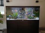 Aquarium Aqualantis Volga 450, Ophalen, Zo goed als nieuw