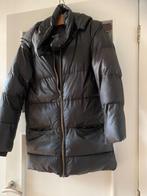 Gewatteerd winterjack dames, Kleding | Dames, Jassen | Winter, Ophalen, Zwart, Zo goed als nieuw, Maat 36 (S)