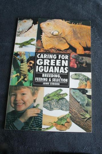 Caring for green iguanas ( groene leguaan ) beschikbaar voor biedingen