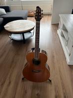 Watson gitaar met nieuwe snaren, Muziek en Instrumenten, Snaarinstrumenten | Gitaren | Akoestisch, Ophalen, Gebruikt, Western- of Steelstringgitaar