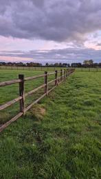 Houten omheining, Weidegang, 2 of 3 paarden of pony's