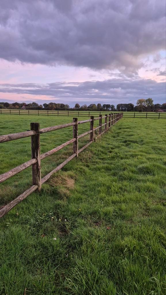 Houten omheining, Dieren en Toebehoren, Stalling en Weidegang, Opfok, Weidegang, Toebehoren, 2 of 3 paarden of pony's