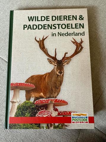 Wilde dieren & paddestoelen - Nieuw! beschikbaar voor biedingen