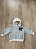 Fijne ZARA hoodie - maat 110, Kinderen en Baby's, Kinderkleding | Maat 110, Jongen of Meisje, Trui of Vest, Ophalen of Verzenden