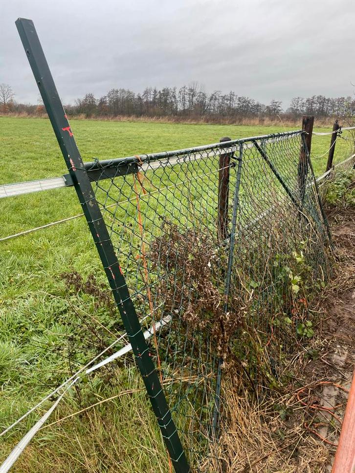 Gaashekwerk met poort, Tuin en Terras, Tuinhekken en Hekwerk, Gebruikt, Gaashekwerk, IJzer, Met poort, Ophalen