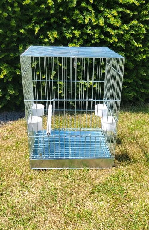 Papegaaien transportkooi, Dieren en Toebehoren, Vogels | Hokken en Kooien, Gebruikt, Vogelkooi, Ophalen