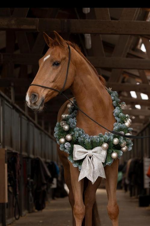 Paarden kerst krans, Diversen, Kerst, Ophalen