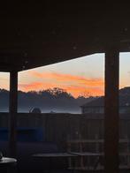 !GEZOCHT! Stalling/weidegang rondom Son en Breugel paard, Weidegang, 1 paard of pony