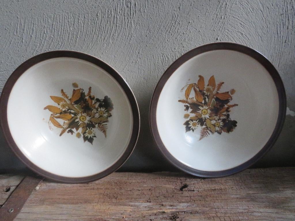 doverstone  staffordshire schaal rond, Ophalen of Verzenden