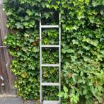 vlisotrap, Doe-het-zelf en Verbouw, Ladders en Trappen, Ophalen, Gebruikt, Ladder, Opvouwbaar of Inschuifbaar