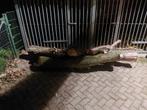 Houtstammen te koop, Tuin en Terras, Haardhout, Minder dan 3 m³, Ophalen
