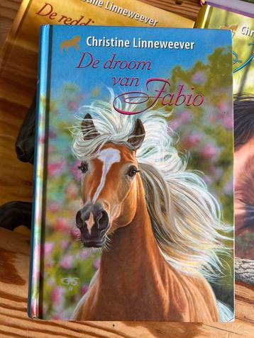 Christine Linneweever - De droom van Fabio beschikbaar voor biedingen