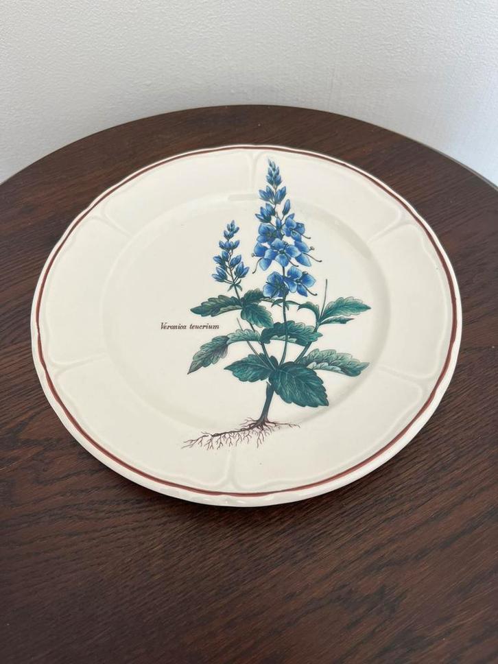 Villeroy en Boch; Botanica; diverse items, Antiek en Kunst, Antiek | Servies los, Ophalen