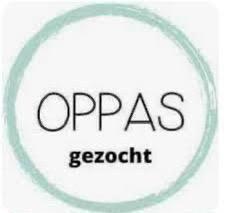 Oppas aan huis gezocht in Hoogeveen, Kinderen en Baby's, Overige Kinderen en Baby's, Nieuw, Ophalen