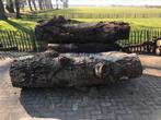 Hout stammen brandhout,haardhout, Tuin en Terras, Haardhout, Minder dan 3 m³, Ophalen of Verzenden, Overige houtsoorten