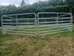 Te koop: nieuwe vanghekken, Meerdere dieren, Schaap