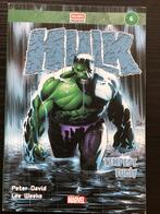 Hulk: Tempest Fugit - Peter David, Lee Weeks, Eén stripboek, Ophalen of Verzenden, Gelezen