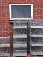 Broedkooien traliekooien draadkooien, Dieren en Toebehoren, Vogels | Hokken en Kooien, Ophalen of Verzenden, Zo goed als nieuw