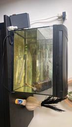 Aquarium 60 x 30 compleet om te starten, Dieren en Toebehoren, Ophalen, Zo goed als nieuw, Leeg aquarium