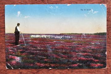 Op de heide ( militair, gestempeld in 1917 te Assen ) beschikbaar voor biedingen