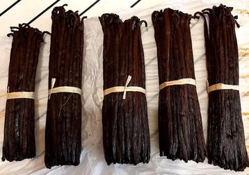 Vanille Bourbon stokjes uit Madagascar beschikbaar voor biedingen