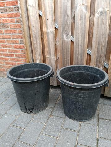 Plantenbak moestuin beschikbaar voor biedingen