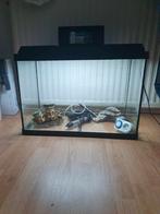 Aquarium 60cm  Lengte en 30cm breedte met 6 Accesoires, Ophalen, Gebruikt, Overige typen