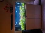 Aquarium, Dieren en Toebehoren, Vissen | Aquariumvissen, Vis